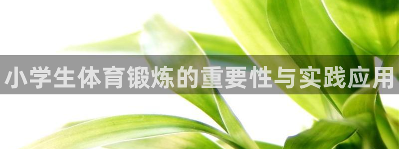 德国欧亿体育官方正版app集团：小学生体育锻炼的重要