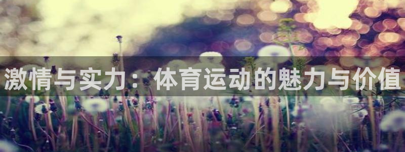 海南oety欧亿体育官网下载发展怎么样：激情与实力：