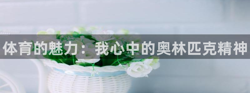 oety欧亿体育官网下载招商：体育的魅力：我心中的奥