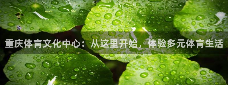 海南oety欧亿体育官网下载发展怎么样