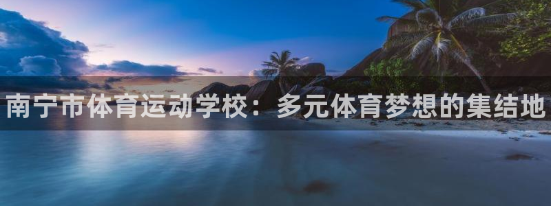 oety欧亿体育官网下载平台注册：南宁市体育运动学校