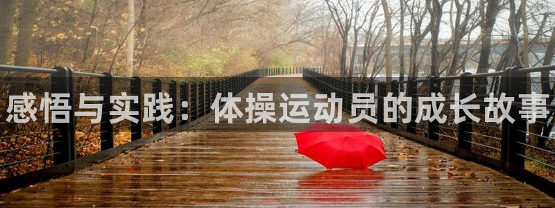 欧亿体育官方正版app代理：感悟与实践：体操运动员的