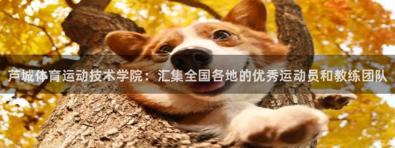 欧亿体育官方正版app娱乐首页官网下载：芦城体育运动