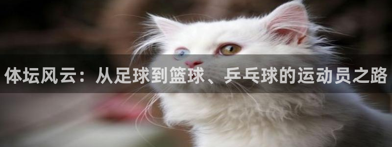 欧亿体育官方正版app娱乐代理怎么样：体坛风云：从足