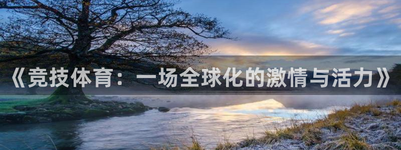 oety欧亿体育官网下载平台注册流程图：《竞技体育：