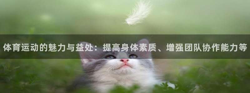 欧亿体育官方正版app娱乐首页官网下载：体育运动的魅