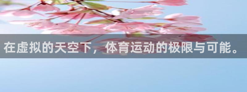 oety欧亿体育官网下载招商电话是多少：在虚拟的天空