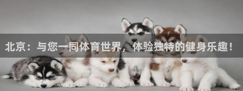 oety欧亿体育官网下载平台注册流程视频：北京：与您一同体育
