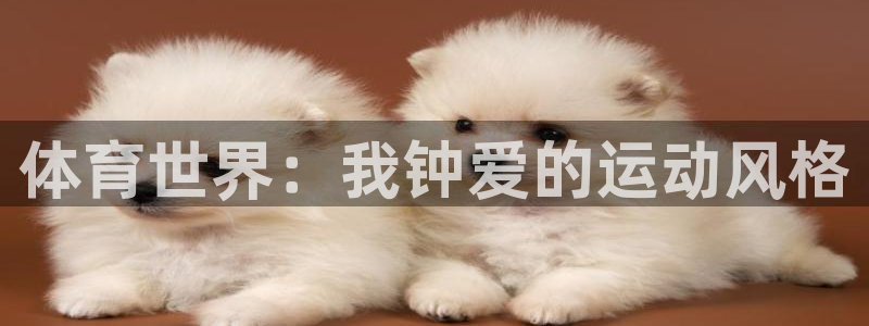 欧亿体育官方正版app娱乐平台：体育世界：我钟爱的运