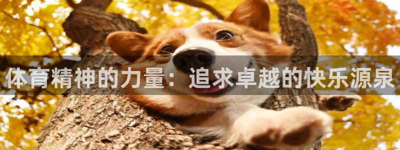 oety欧亿体育官网下载平台注册要钱吗：体育精神的力