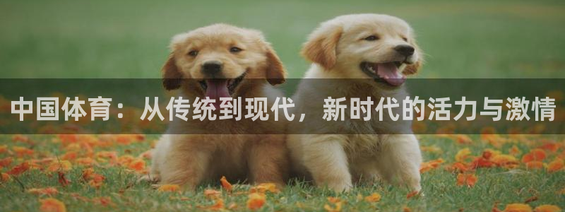 oety欧亿体育官网下载招商电话号码查询是多少：中国