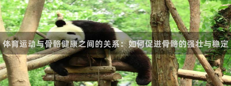 oety欧亿体育官网下载平台APP：体育运动与骨骼健