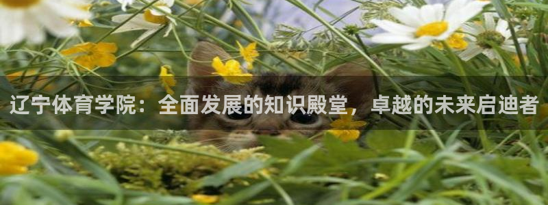 欧亿体育官方正版app集团logo：辽宁体育学院：全面发展的